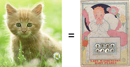 Cute kitten equals baby buttons Cute kitten equals baby buttons
